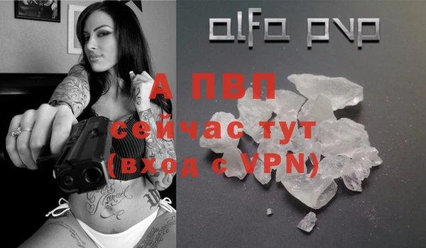 СК Корсаков