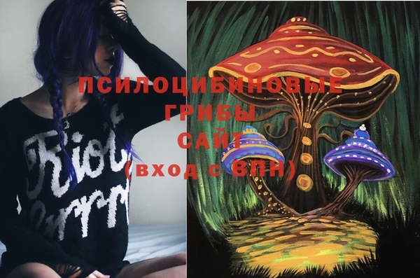 прущие грибы Киренск