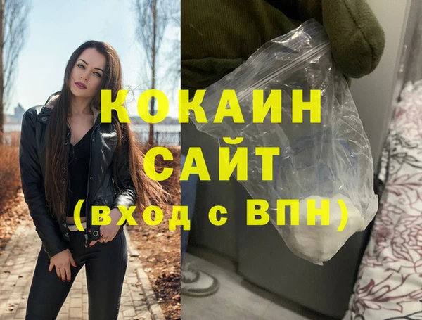 гашик Пересвет