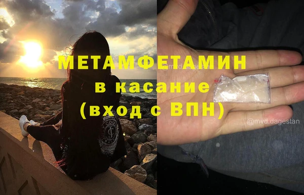 прущие грибы Киренск