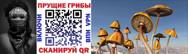 Галлюциногенные грибы GOLDEN TEACHER Красноуфимск