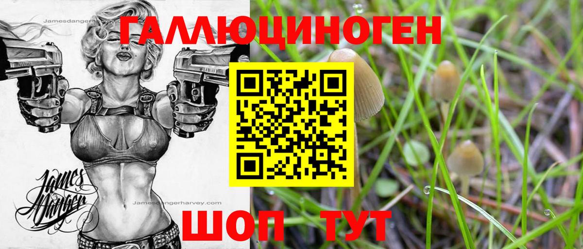 Галлюциногенные грибы Cubensis Красноуфимск